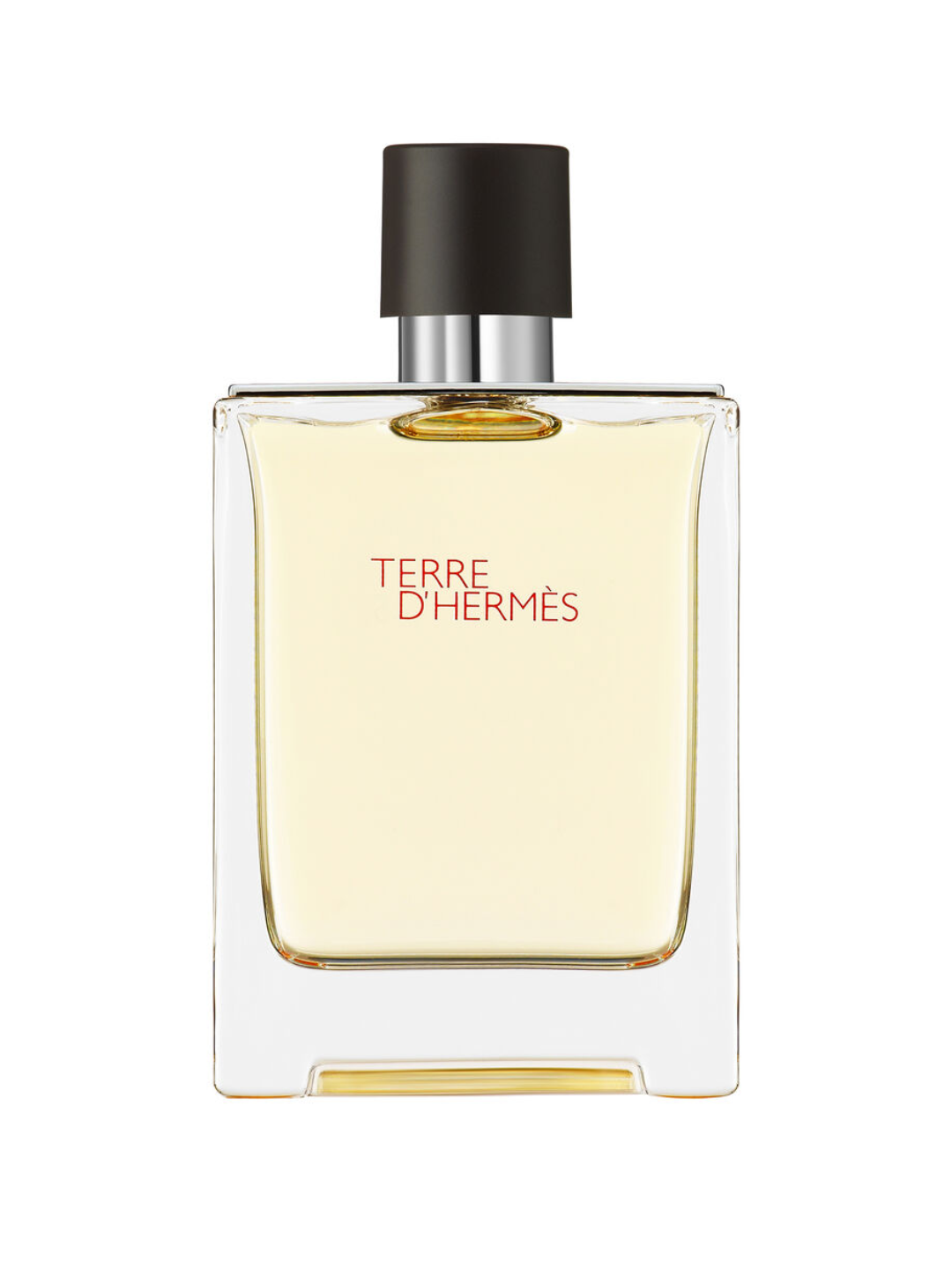 Terre D´Hermès - Eau de Toilette